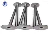 Ống Tantalum bảo vệ cặp nhiệt điện